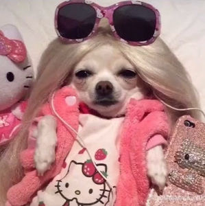 Meet your Posher, Sophia